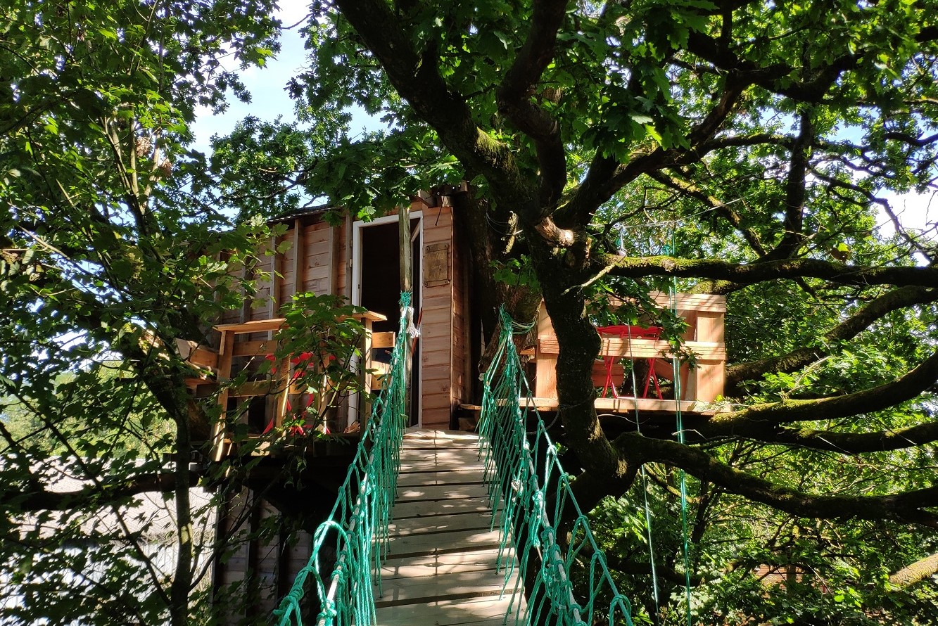 Notre cabane "Le nid dans le chêne"