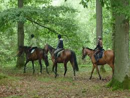 /Equitation